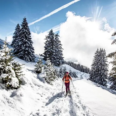 Loges De Celestin Ltb103 Nature & Mountain 4 Pers *